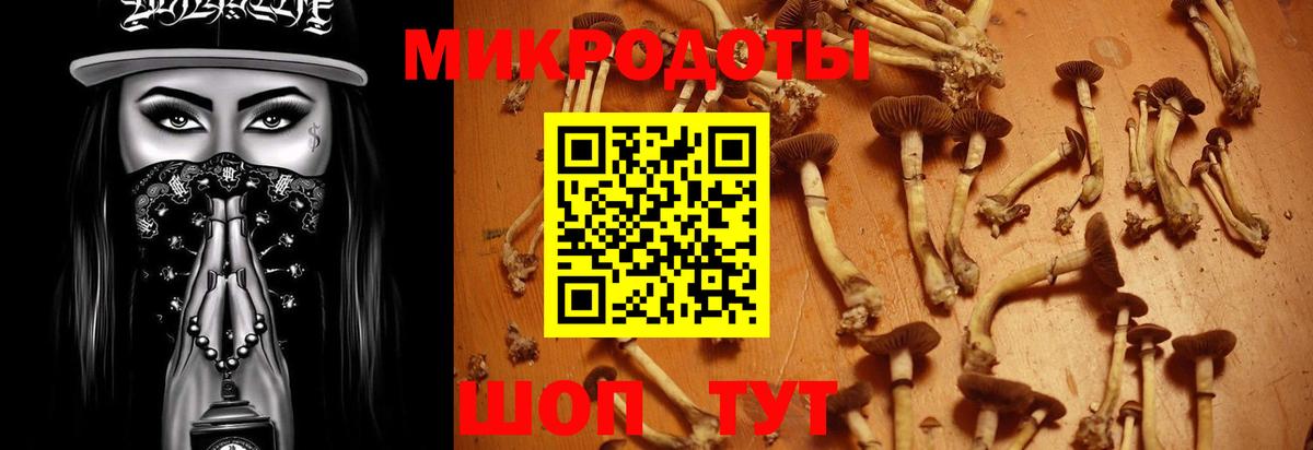 Галлюциногенные грибы MAGIC MUSHROOMS  Вход с VPN  Донской 